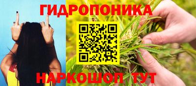 ГАЛЛЮЦИНОГЕННЫЕ ГРИБЫ Пенза