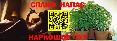 ПСИЛОЦИБИНОВЫЕ ГРИБЫ Партизанск